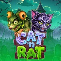 LIONG88 - Cat n Rat | liong88