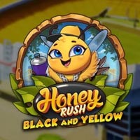 LIONG88 - Honey Rush Black and Yellow | liong88