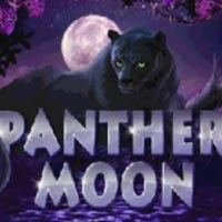 LIONG88 - Panther Moon | liong88