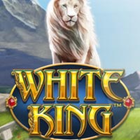 LIONG88 - White King | liong88