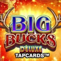 LIONG88 - Big Bucks Deluxe Tapcards | liong88