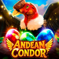LIONG88 - Andean Condor | liong88