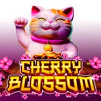 LIONG88 - Cherry Blossom | liong88