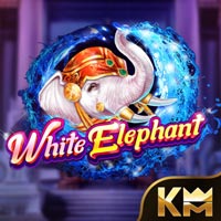 LIONG88 - White Elephant | liong88
